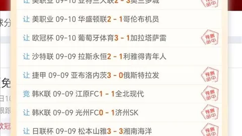 2026深度解析：英国脱欧后经济崩溃真相曝光